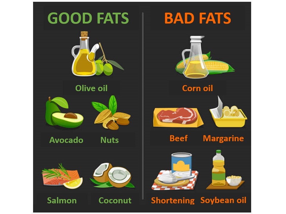 Good Fats And Bad Fats Age Watch - vrogue.co